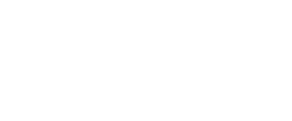 University of Massachusetts